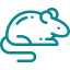 Mouse icon