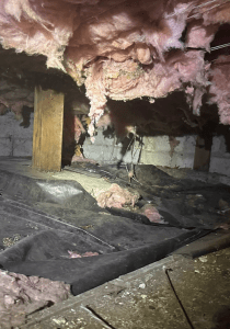 Dirty Crawl Space
