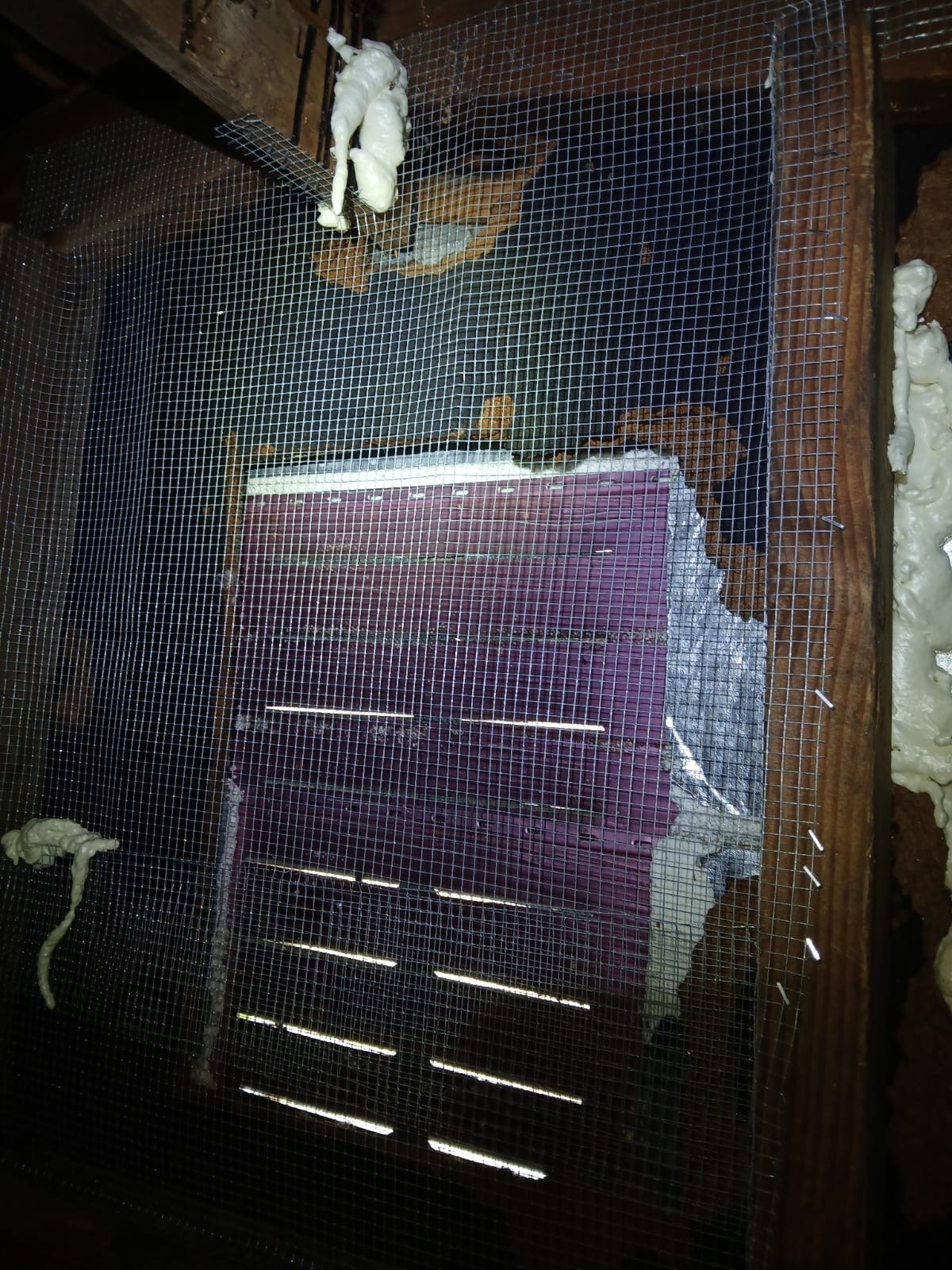 Attic Vent Rodent Proofing